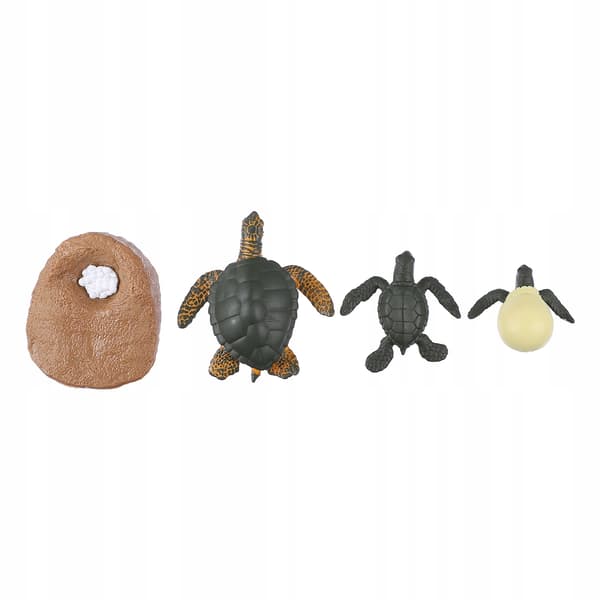 EDUCATIONAL SET OF SEA TURTLE MODELS FOR DECORATION