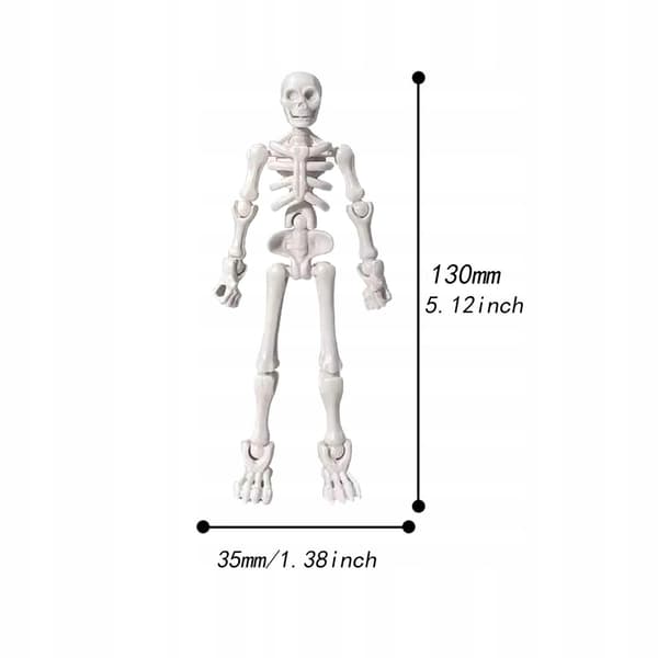 2x Small skeleton doll with movable joints – lightweight, for photography – 2 pieces