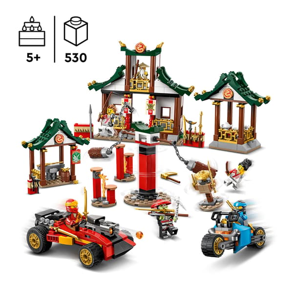 LEGO Ninjago 71787 Creative Ninja Brick Box