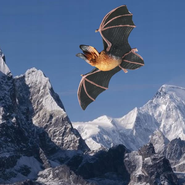 High-quality, realistic simulated accessories for bat models – Mini animal model