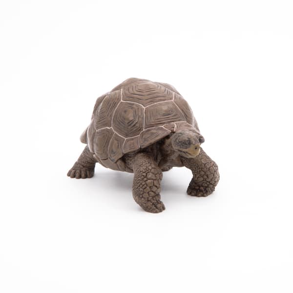 GALAPAGOS TURTLE [FIGURINE]