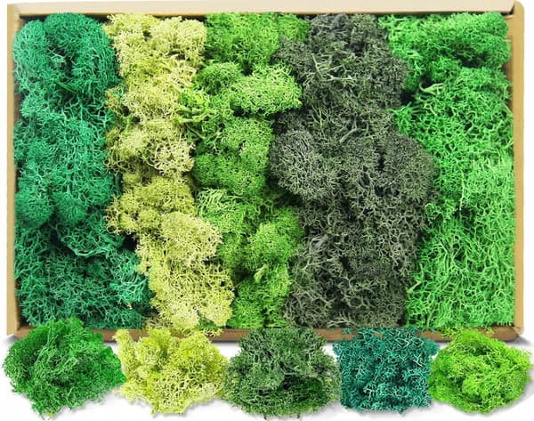 Green Stuff Islandmoss Assorted Colours Lichen 250g MEGA PACK ARTIFICIAL MOSS