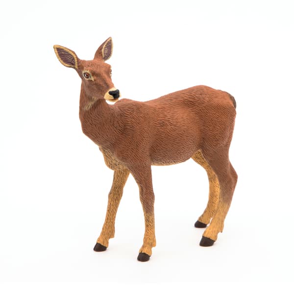 ŁANIA – DOE – PAPO – 53014