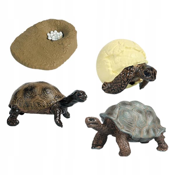 Turtle Life Cycle Model Goodie Bag Fillers Science Playset – Turtle