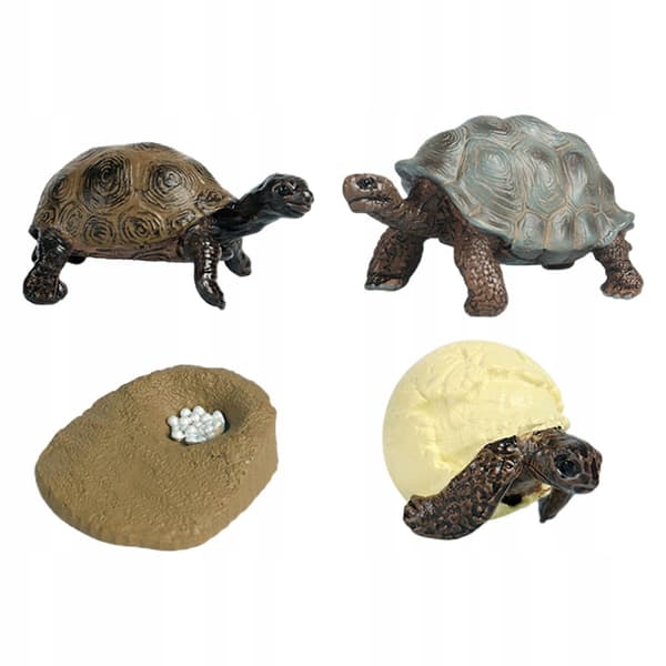 Turtle Life Cycle Model Goodie Bag Fillers Science Playset – Turtle