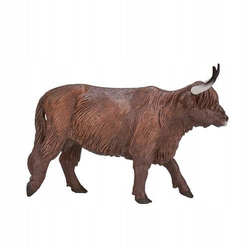 Mojo Scottish Mountain Bull