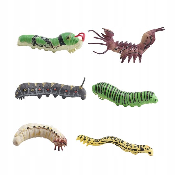 6x Simulation Larvae Models Caterpillar Toys Educational Toy Photography Prop