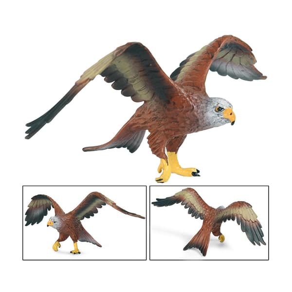 Animal bird figurines Science Educational toy C-style simulation