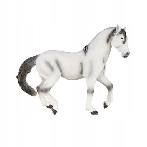 Mojo, a grey Andalusian horse