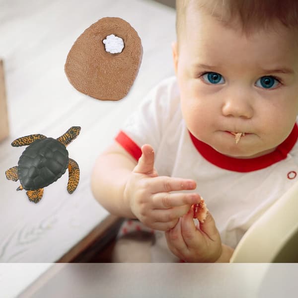 EDUCATIONAL SET OF SEA TURTLE MODELS FOR DECORATION