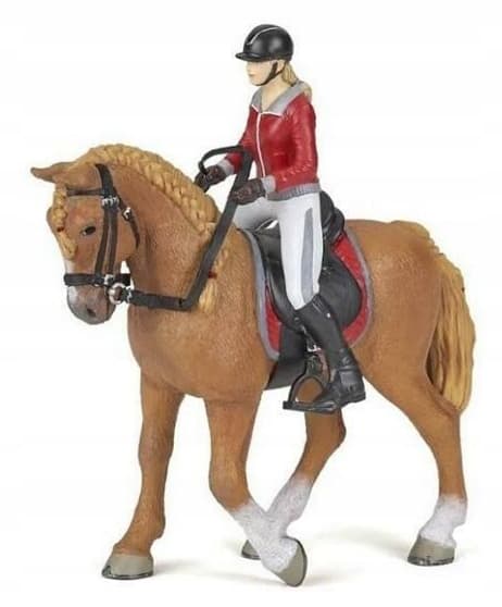 A horse with a female rider