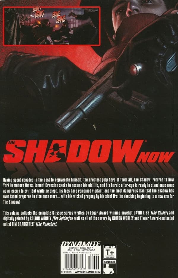 The Shadow Now by Liss David