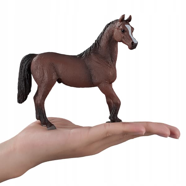 Mojo, a chestnut Arabian stallion