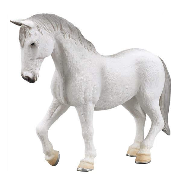 Mojo, a Lipizzaner mare