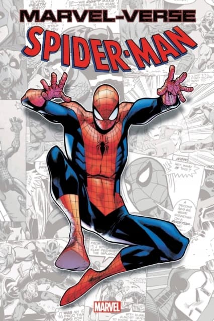 Marvel Universe: Spider-Man – Paul Jenkins, Stan Lee