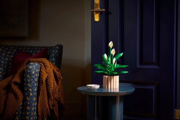 LEGO Botanical 11504 Peace Lily in a Pot