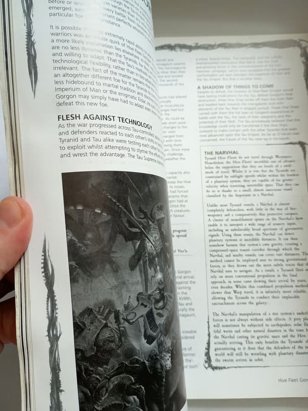 Codex Tyranids No. 113 – 5th Edition