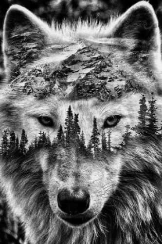 Retro Rustic Nature Wulf Composition Notebook – Collage-style lined, 100 pages – small