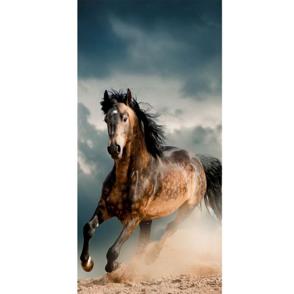 Yhteensopiva Lompakkokotelo Apple iPhone 13 Pro Hevonen