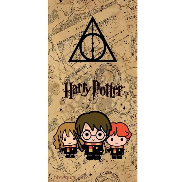 Yhteensopiva Lompakkokotelo Apple iPhone 13 Pro Harry Potter