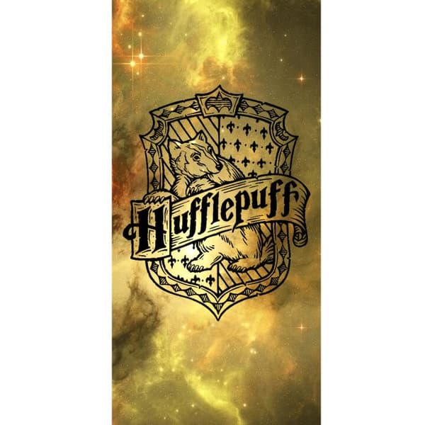Yhteensopiva Lompakkokotelo Apple iPhone 13 Pro Harry Potter