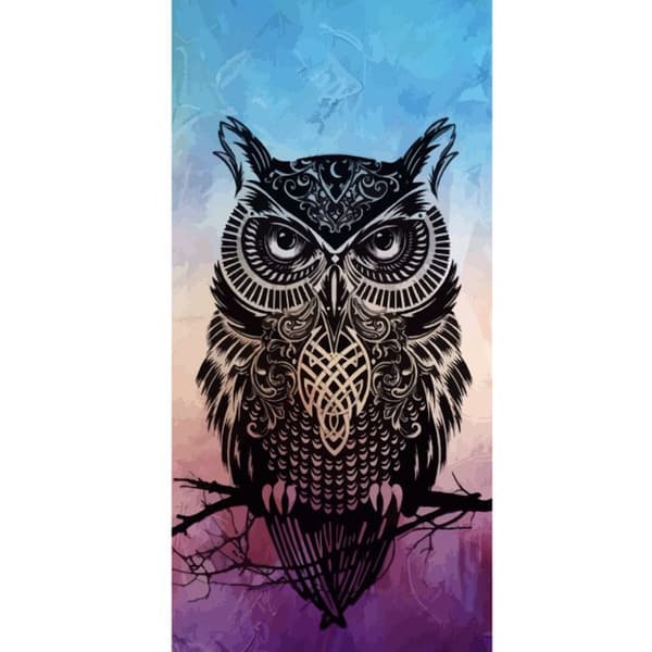 Yhteensopiva Lompakkokotelo Apple iPhone 13 Pro Pöllö