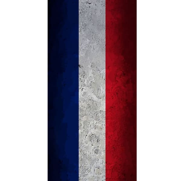 Kompatibelt Plånboksfodral till Apple iPhone 13 Pro Ren fransk flaggdesign