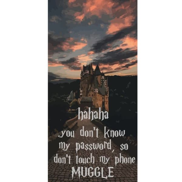 Yhteensopiva Lompakkokotelo Apple iPhone 13 Pro Harry Potter