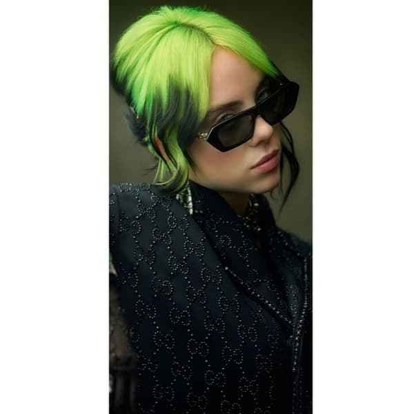 Yhteensopiva Lompakkokotelo Apple iPhone 13 Pro Billie Eilish
