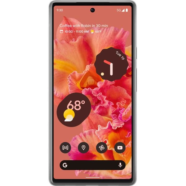 Kompatibelt Mobildeksel til Google Pixel 6 Bluey