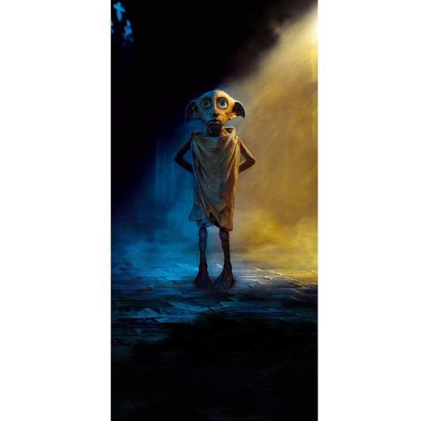 Yhteensopiva Lompakkokotelo Apple iPhone 13 Pro Harry Potter