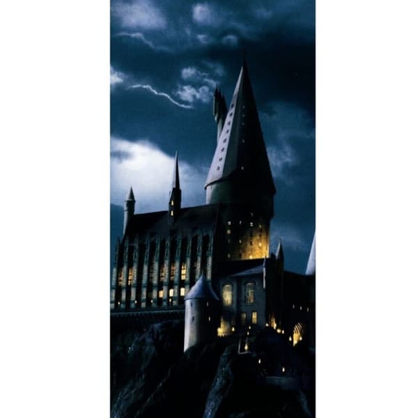 Yhteensopiva Lompakkokotelo Apple iPhone 13 Pro Harry Potter