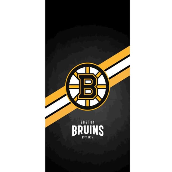 Yhteensopiva Lompakkokotelo Apple iPhone 13 Pro Boston Bruins (NHL)