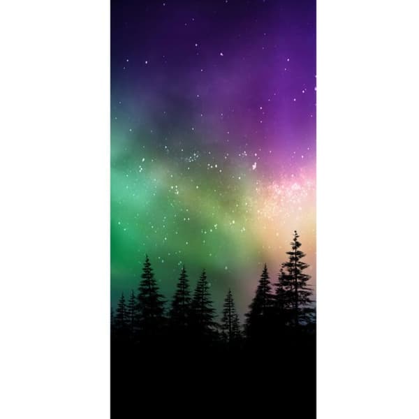 Yhteensopiva Lompakkokotelo Apple iPhone 13 Pro Revontulet