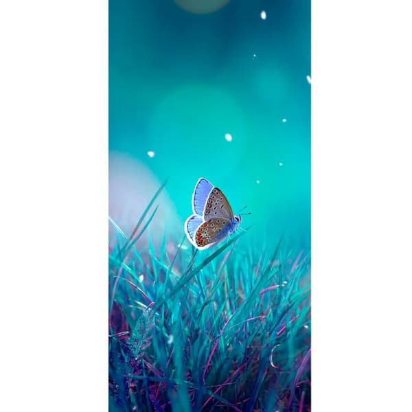Yhteensopiva Lompakkokotelo Apple iPhone 13 Pro Sininen perhonen