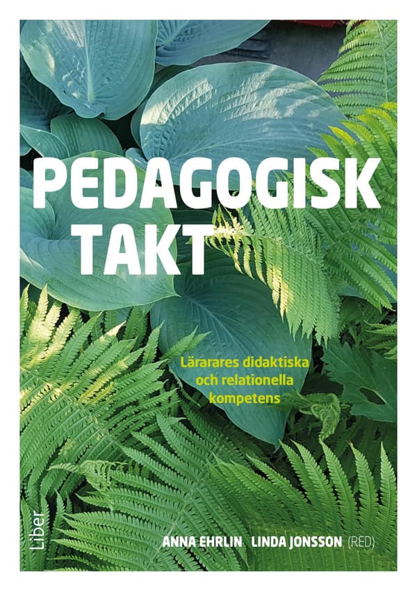 Pedagogisk Takt (Bok / Häftad)