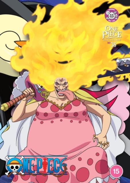 One Piece: Kokoelma 36 (4 DVD)