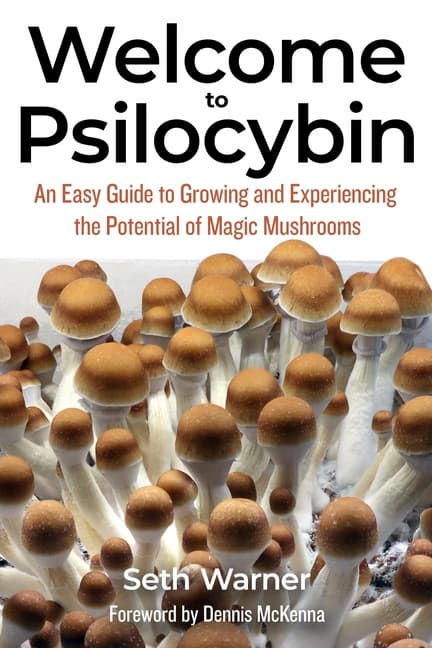 Welcome to Psilocybin (Bok / Häftad)