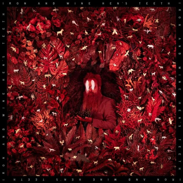 Iron & Wine: Hen's teeth 2026 (CD)
