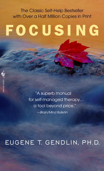 Focusing (Bok / Pocket)