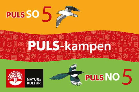 Puls-Kampen No Och So Åk 5 (Kirja / Muu)