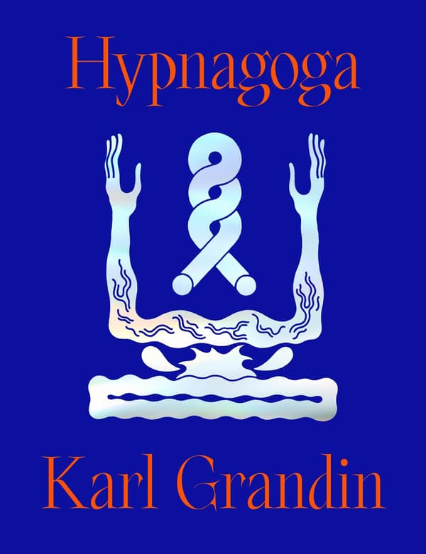 Hypnagoga (Kirja / Sidottu)