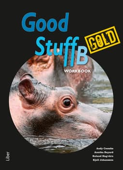 Good Stuff Gold b Workbook (Kirja / Nidottu)