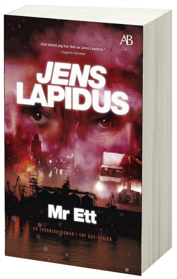 Mr Ett (Kirja / Pokkari)