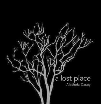 A Lost Place (Bok / Pocket)