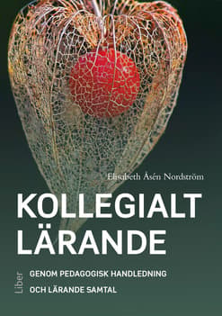 Kollegialt Lärande (Bok / Häftad)