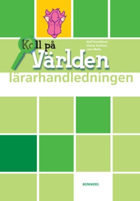 Koll På Världen År 6 Lärarhandledning (Bok / Häftad)