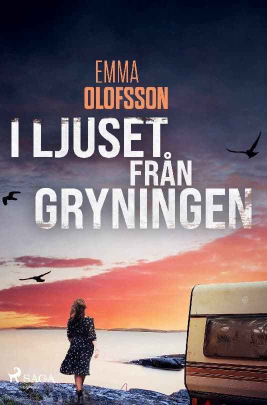 Aamunkoiton valossa (Kirja / Kovakantinen)