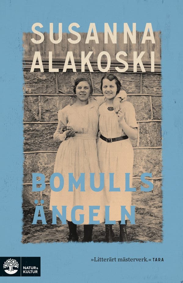 Bomullsängeln (Bok / Pocket)