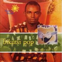 Kamerun: Bikutsi Pop (CD)